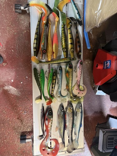 Strike pro cwc pig - pro,