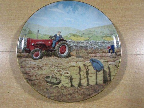 Mint border fine arts lifting - mint,