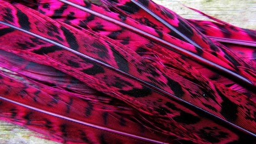 Irish fly supplies hen - fly,