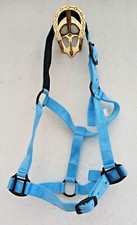 HORSE PADDED HEADCOLLARS 3 X  BABY BLUE FACTORY SOILED FULL & COB SIZES