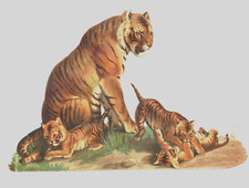 mother tiger with cubs, die
