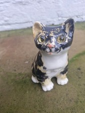 Winstanley Tabby & White Cat Size 1