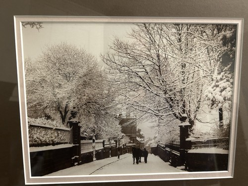 Bronze framed vintage - ,