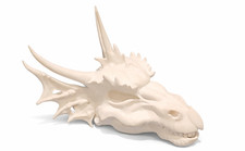 Dragon Skull Home Décor