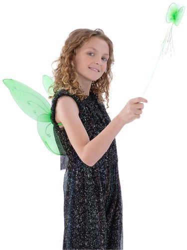 Butterfly wings - butterfly,