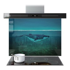 Kitchen Glass Splashback