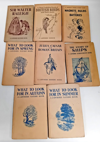 Bundle vintage ladybird - vintage,