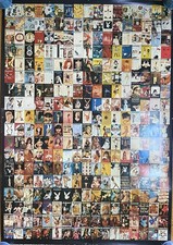 1979 PLAYBOY POSTER SILVER