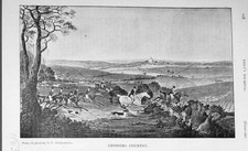 Original Old Antique Print 1905 Horses Cross Country Jumping Sport 20th