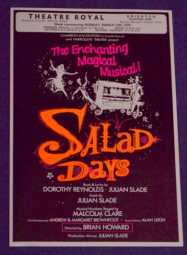 Theatre flyer handbill - a5,