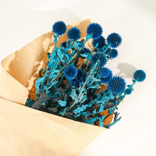 Heads preserved flower - 20,