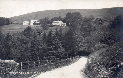 Limestone brae near allendale - limestone,