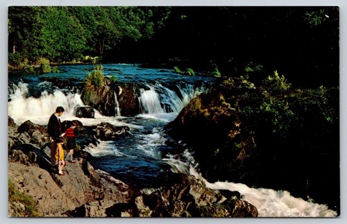 Postcard the falls cenarth - postcard,