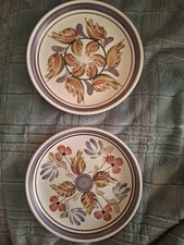 Denby Lovely Hand Painted Plates, Pair. Pretty Autumnal Shades.  RSPB Range.