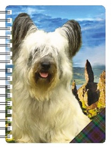 Skye terrier notebook - terrier, 3d