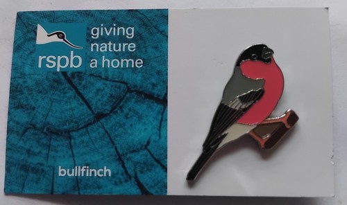 Rspb pin badge - pin, bullfinch