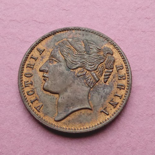Hanover cumberland jack - to,