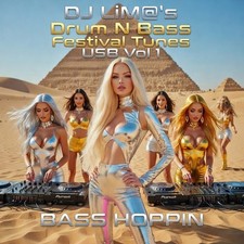 DJ LIM@ DRUM N BASS FESTIVAL