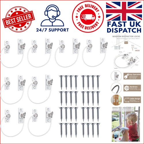 Stainless steel pack window - 8-pack,