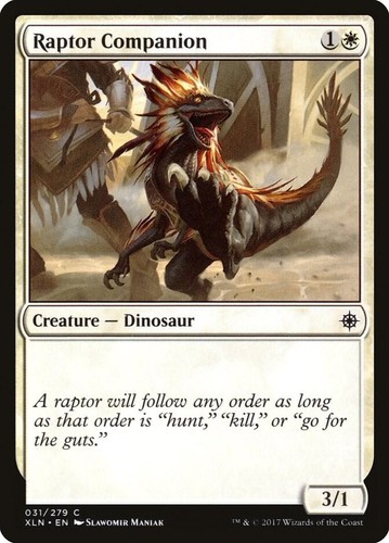 Raptor companion xln - 31,
