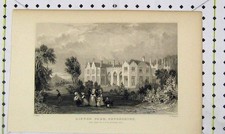 Original Old Antique Print