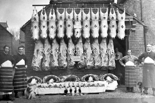 Zsa butcher shop front - butcher's,