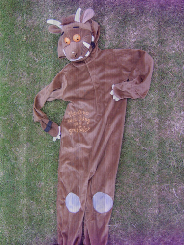 Gruffalo dressing costume - gruffalo,