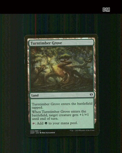 Turntimber grove 34 - grove,