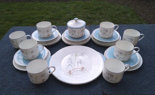 Aynsley flying wild pattern - aynsley,