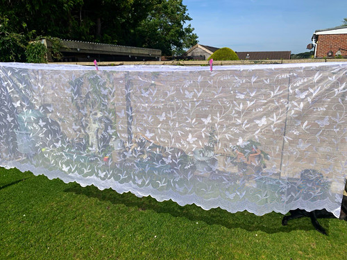 White voile sheer net curtains - sheer,