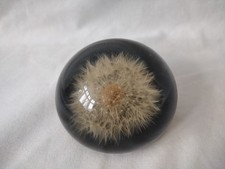 Vintage Lucite Dandelion Head