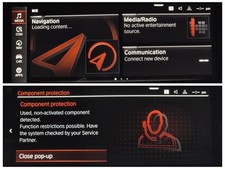 BMW MGU/MGU21  COMPONENT PROTECTION  REMOVAL SERVICE