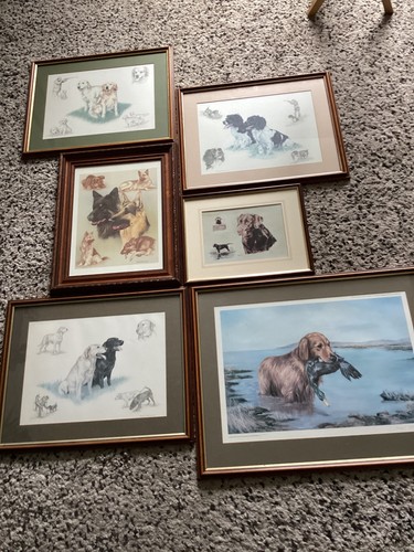 Nigel hemming prints - nigel,