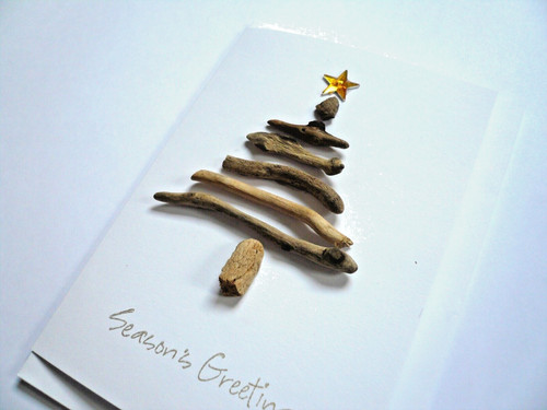 Genuine sea driftwood - sea,