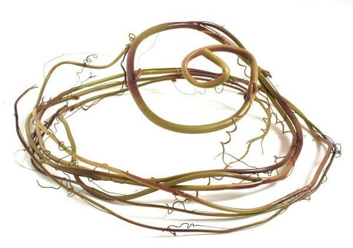 Zoo med flexible vine - zoo,