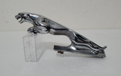 1983 1991 jaguar - xj6, hood