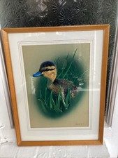 Vintage Fluffy Mallard