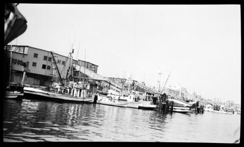 View fish harbor showing - view,