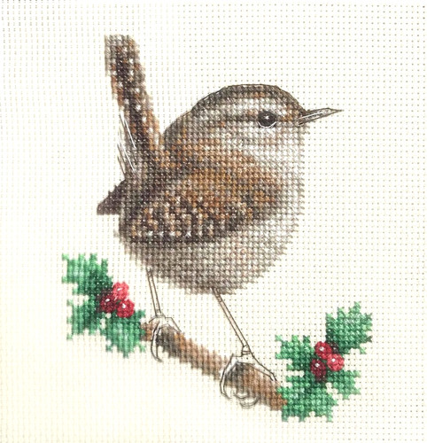 Wren holly bird - wren,,