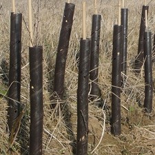 25 X 2FT BROWN SPIRAL RABBIT