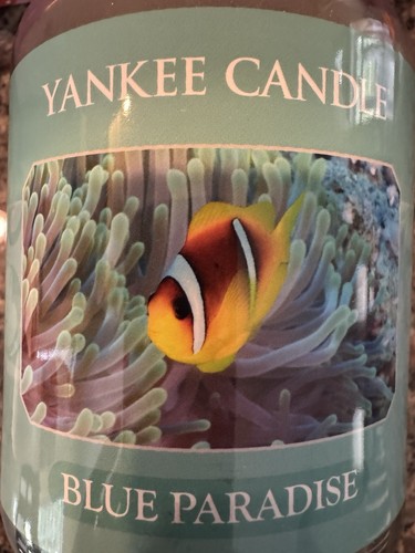Rare blue paradise yankee - rare,