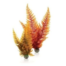 biOrb Easy Plant Autumn Fern