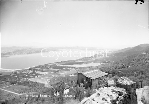 Original photo negative lake - negative,