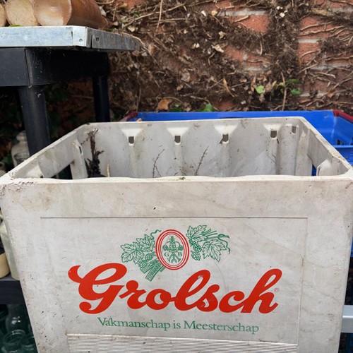 Grolsch beer bottle - , crate