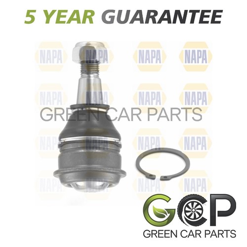 Gcp front lower ball - gcp, joint