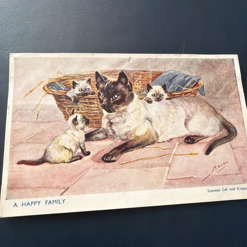 Vintage siamese cat kittens - vintage,