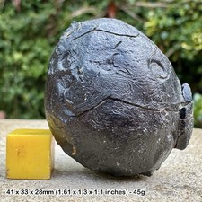 RARE: Billitonite Tektite