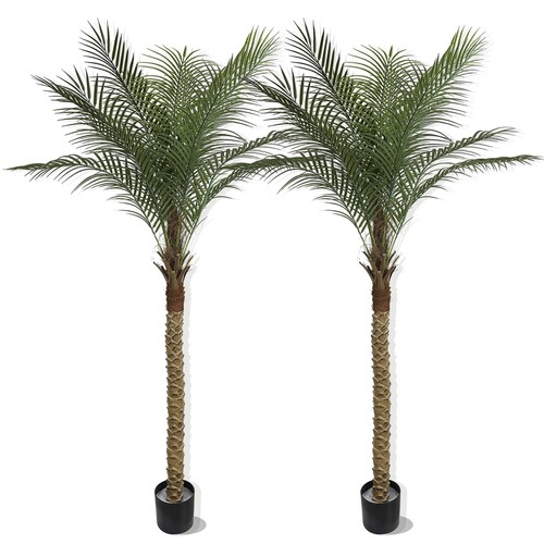 Pack 7ft artificial coconut - 7ft,