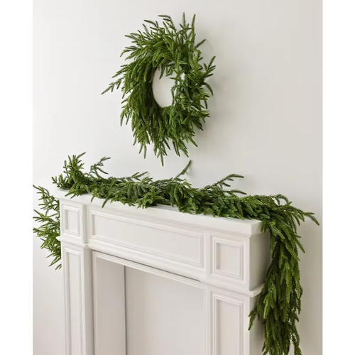Christmas norfolk pine - 6/9,
