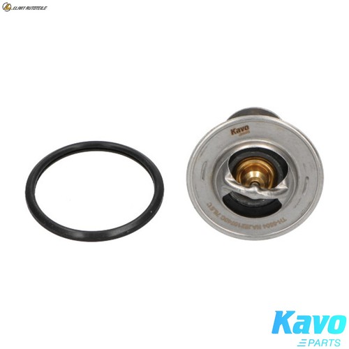 Thermostat coolant 5504 - thermostat, for